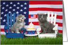Duet of Kittens Happy Fourth of July card