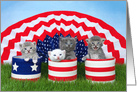 Four tiny kittens Happy 4th of July card