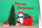 Grey kitten popping out of a box meowy Christmas card