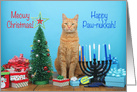 Orange cat punny Christmas Hannukkah card