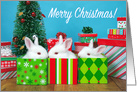 Baby Bunnies Merry Christmas card