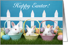 Trio of Baby Bunnies Happy Easter card