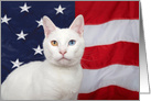 Regal Patriotic Cat Happy 4th of July card