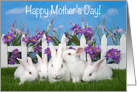 Bunny Family Happy Mother’s Day for Mom card