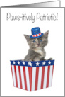 Paws-itivly Patriotic 4th of July kitten card