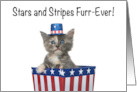 Stars and Stripes Patriotic 4th of July kitten card