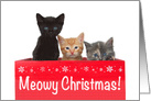 Meowy Christmas Trio of Kittens card