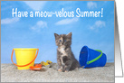 Beach kitten happy summer vacation card