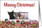 Trio of Kittens Christmas Presents card