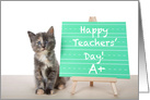 School Time Kitten Happy Teachers’ Day card