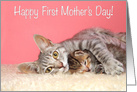 Mommy cat with baby First Mother’s Day card