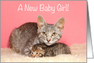 Mom cat with baby Congratulations New Baby Girl card