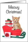 Kitten in Santa’s Sleigh Merry Christmas card