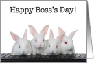 Happy Boss’s Day from team of bunnies card