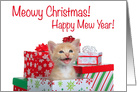 Singing Christmas surprise kitten card