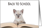 Siamese kitten reading a book back to school card