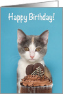 Kitten with Chocolate Cup Cake Happy Birthday card