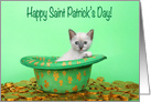 Leprechaun hat with gold and siamese kitten Happy Saint Patrick’s Day card