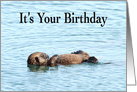 Adorable Otter Happy Birthday card