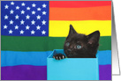 Tiny Kitten Happy Gay Pride Month card