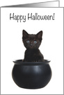 Black Kitten Popping out of a Cauldron, Happy Halloween card