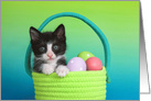 Tuxedo Kitten Happy Easter card