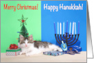 Multi Faith Merry Christmas Happy Hanukkah Kitten card