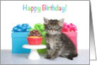 Kitten Party Happy Birthday card