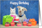 Cat and Dog Party Happy Birthday card