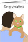 Congratulations on Your Pet Cat Rescue Adoption Dark Hair with Ginger Cat card