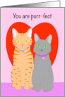 Happy Valentines Day Cats In Front of a Red Heart card