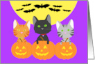 Happy Halloween Kittens on Pumpkins and Bats Flying in Front the Moon card