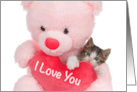 Polydactyl Kitten in a Bear Hug Happy Valentine’s Day I Love You card