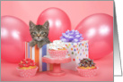 Kitten in a Present with Cupcakes and Balloons Pink Happy Birthday card