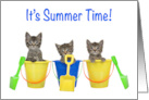 School’s Out It’s Summer Time Kittens in Buckets Happy Summer Vacation card