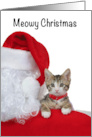 Santa Holding Kitten Merry Christmas card