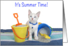 Diluted Siamese Kitten with Sand Buckets Happy Summer Time card