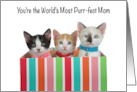 3 Diverse Kittens in Colorful Box Happy Mother’s Day from All of Us card