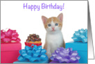 Orange and White Tabby kitten with Cupcake and Presents Happy Birthday card