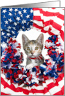 Happy 4th of July Patriotic Kitten Peeking through Flag Wreath card