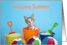 Calico Kitten peeking out of Sand Bucket with beach balls and sand card