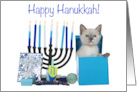 Siamese Kitten Peeking Out Hanukkah Present card