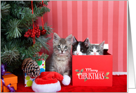 Merry Christmas card