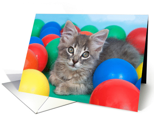 Happy Birthday Kitten card (1438142)