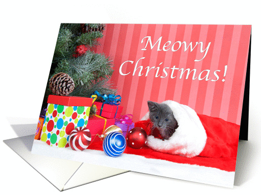 Meowy Christmas kitten card (1438148)
