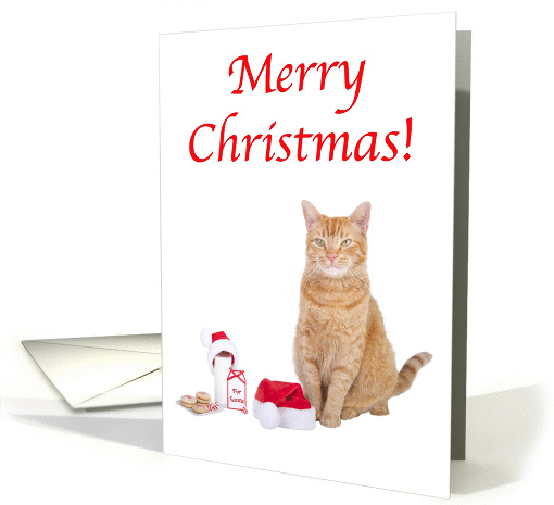 Merry Christmas Cat with hat card (1438336)