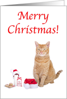 Merry Christmas Cat with hat card
