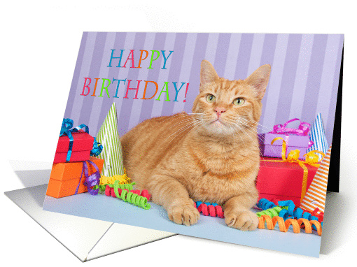 Happy Birthday Tabby Cat card (1438372)
