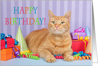 Happy Birthday Tabby Cat card