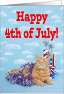 Patriotic Tabby Cat...